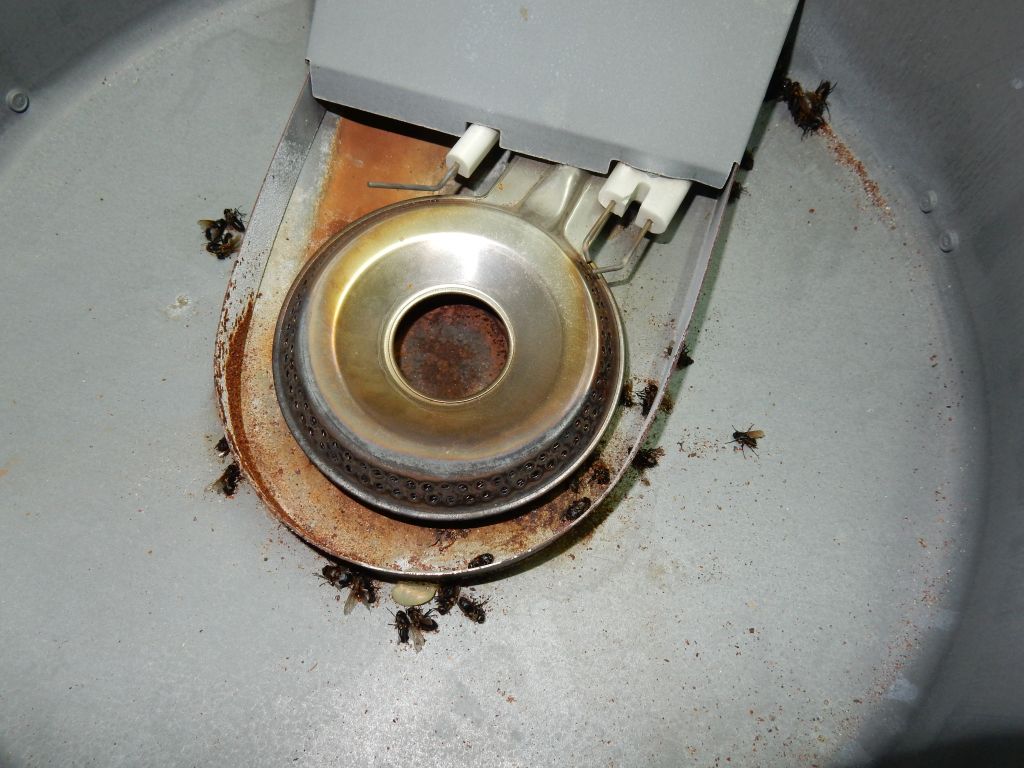 Boiler.jpg